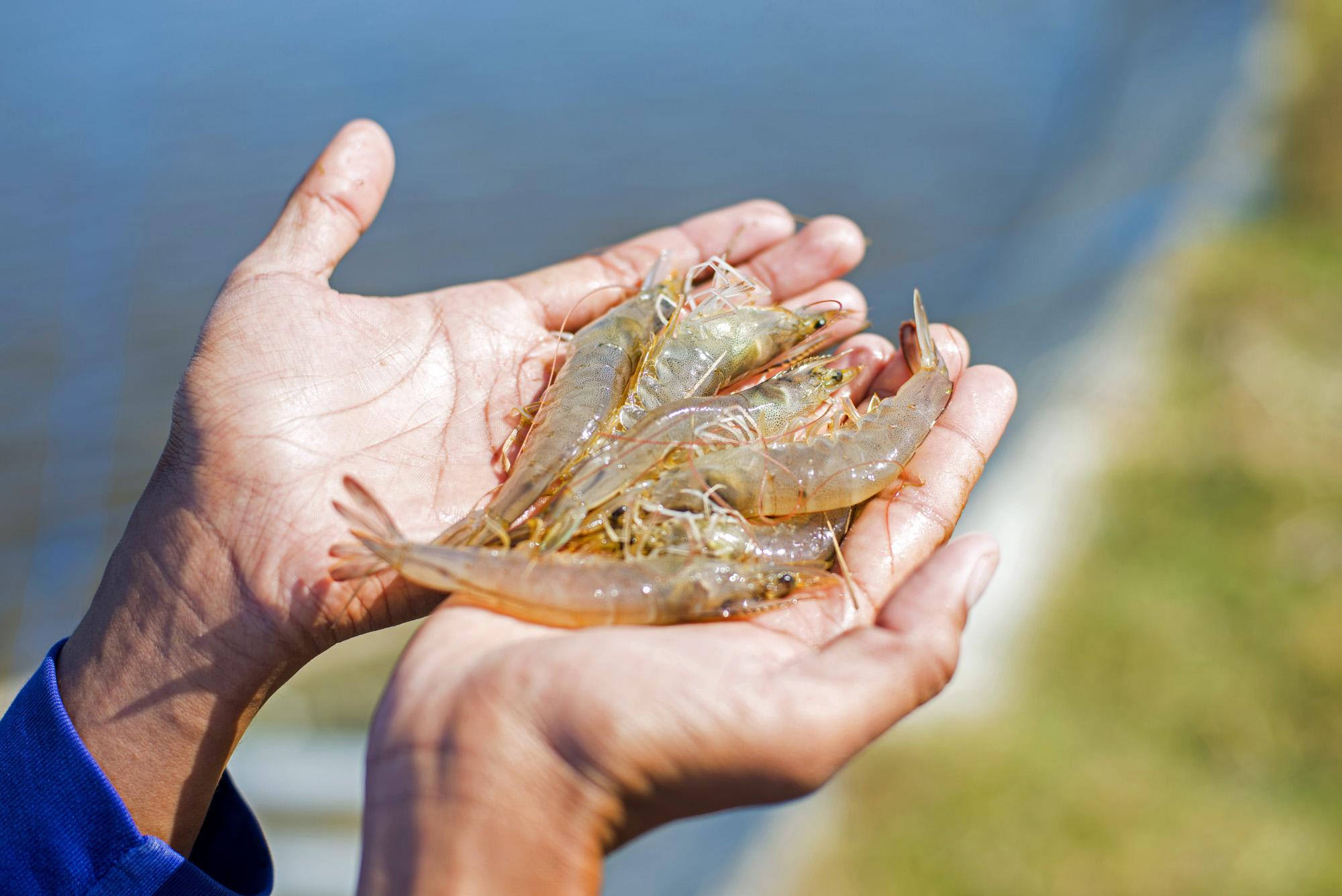 BMI Corporation Profil Photography Surabaya - Chendra Cahyadi photography Surabaya took the profile photography of BMI Corporation